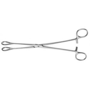 Olten Ovum Forceps 