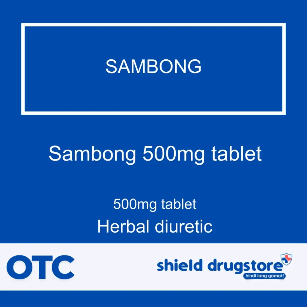 GN-SAMBONG 500MG TAB 