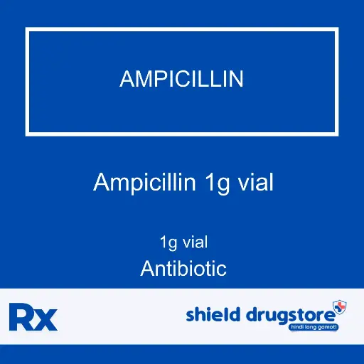 [GEN000022] GN-AMPICILLIN 1G VL 